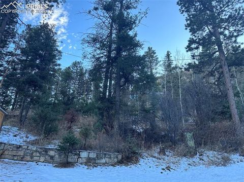 Photo of TBD WildWood Road, Cascade, CO 80809 (MLS # 4867037)