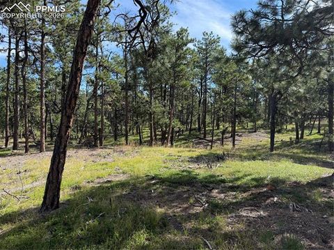 Photo of 17405 E Goshawk Road, Colorado Springs, CO 80908 (MLS # 8291782)