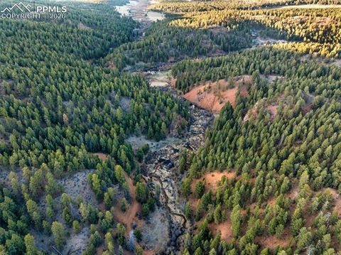 Tiny photo for 29549 N Highway 67, Woodland Park, CO 80863 (MLS # 5337523)