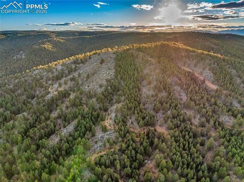 Tiny photo for 29549 N Highway 67, Woodland Park, CO 80863 (MLS # 5337523)