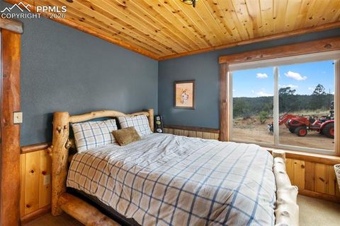 Tiny photo for 29549 N Highway 67, Woodland Park, CO 80863 (MLS # 5337523)