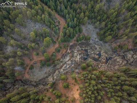 Tiny photo for 29549 N Highway 67, Woodland Park, CO 80863 (MLS # 5337523)