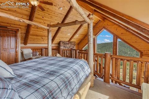 Tiny photo for 29549 N Highway 67, Woodland Park, CO 80863 (MLS # 5337523)