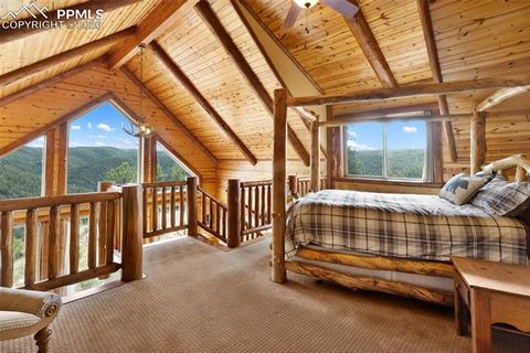 Tiny photo for 29549 N Highway 67, Woodland Park, CO 80863 (MLS # 5337523)