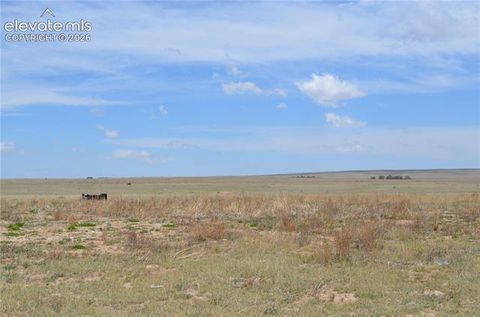 Photo of 26430 Tebow View, Calhan, CO 80808 (MLS # 8842095)