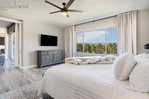 Tiny photo for 842 Tree Bark Terrace, Monument, CO 80132 (MLS # 7801766)
