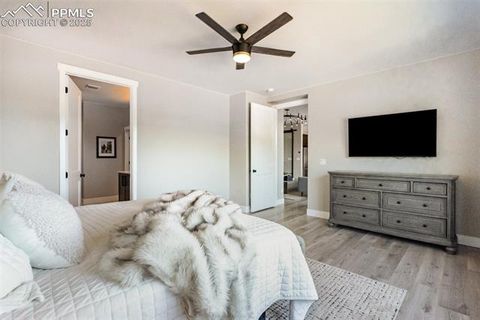 Tiny photo for 842 Tree Bark Terrace, Monument, CO 80132 (MLS # 7801766)