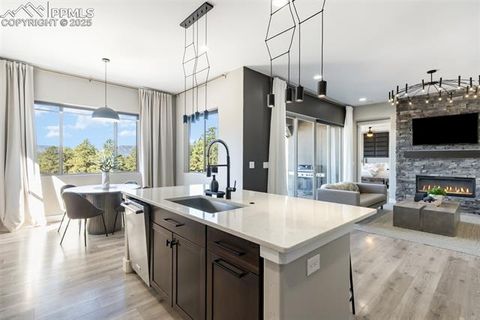 Tiny photo for 842 Tree Bark Terrace, Monument, CO 80132 (MLS # 7801766)