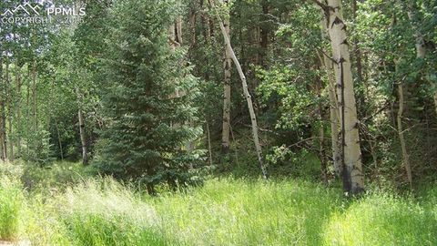 Photo of 19 Princess Road, Cripple Creek, CO 80813 (MLS # 3426233)