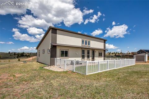 163 Minstrel Drive Divide CO 80814