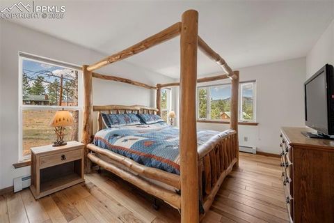 Tiny photo for 125 S Derail Lane, Lake George, CO 80827 (MLS # 4931650)