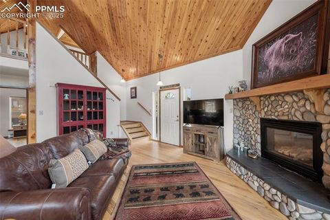 Tiny photo for 125 S Derail Lane, Lake George, CO 80827 (MLS # 4931650)