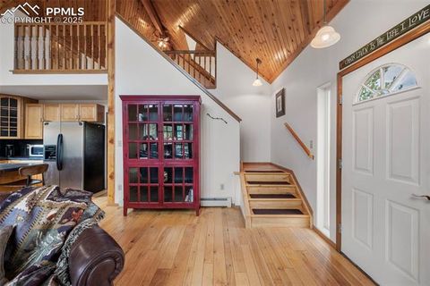 Tiny photo for 125 S Derail Lane, Lake George, CO 80827 (MLS # 4931650)