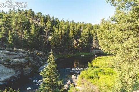 Tiny photo for 125 S Derail Lane, Lake George, CO 80827 (MLS # 4931650)