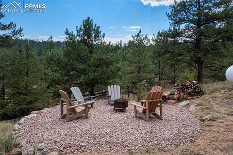 Tiny photo for 125 S Derail Lane, Lake George, CO 80827 (MLS # 4931650)