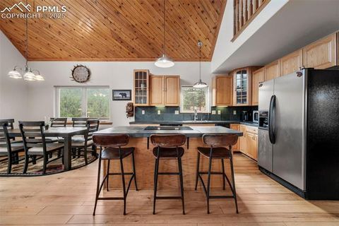 Tiny photo for 125 S Derail Lane, Lake George, CO 80827 (MLS # 4931650)