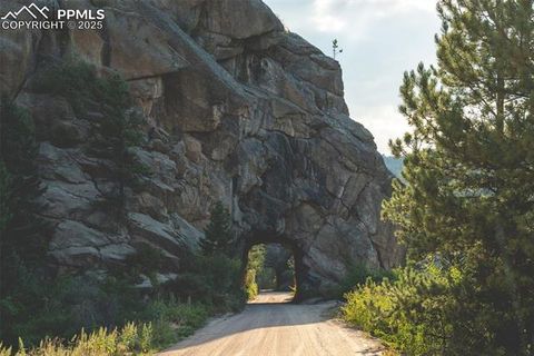 Tiny photo for 125 S Derail Lane, Lake George, CO 80827 (MLS # 4931650)