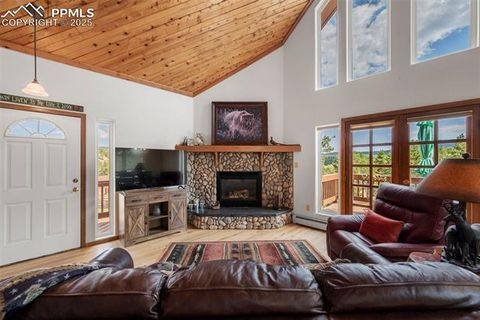 Tiny photo for 125 S Derail Lane, Lake George, CO 80827 (MLS # 4931650)