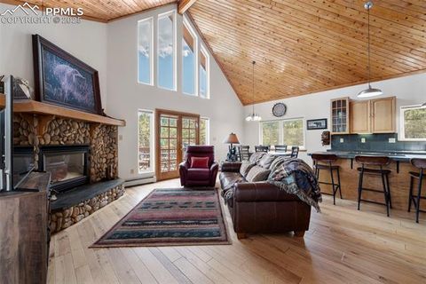 Tiny photo for 125 S Derail Lane, Lake George, CO 80827 (MLS # 4931650)