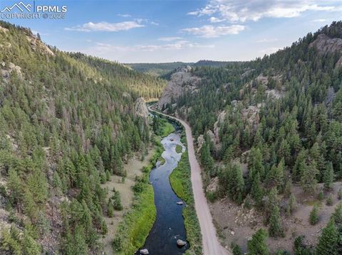 Tiny photo for 125 S Derail Lane, Lake George, CO 80827 (MLS # 4931650)
