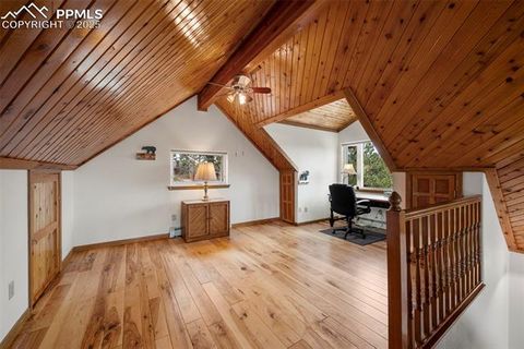 Tiny photo for 125 S Derail Lane, Lake George, CO 80827 (MLS # 4931650)