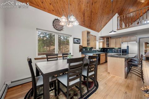 Tiny photo for 125 S Derail Lane, Lake George, CO 80827 (MLS # 4931650)