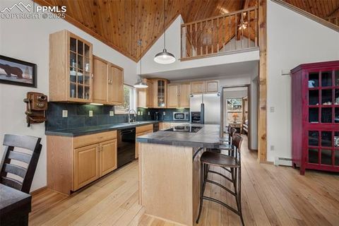 Tiny photo for 125 S Derail Lane, Lake George, CO 80827 (MLS # 4931650)