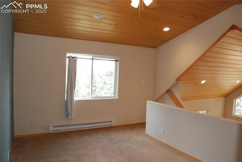 Tiny photo for 509 Wakanda Trail, Woodland Park, CO 80863 (MLS # 2558083)
