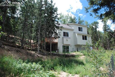 Tiny photo for 509 Wakanda Trail, Woodland Park, CO 80863 (MLS # 2558083)