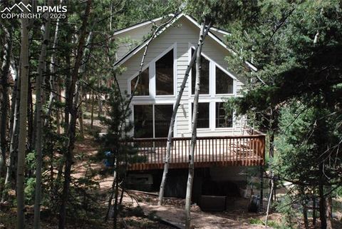 Tiny photo for 509 Wakanda Trail, Woodland Park, CO 80863 (MLS # 2558083)