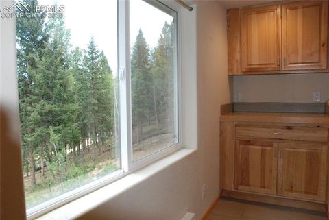 Tiny photo for 509 Wakanda Trail, Woodland Park, CO 80863 (MLS # 2558083)