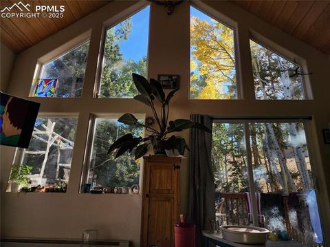 Tiny photo for 509 Wakanda Trail, Woodland Park, CO 80863 (MLS # 2558083)