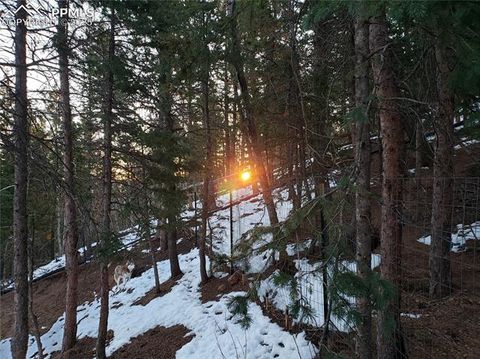 Tiny photo for 509 Wakanda Trail, Woodland Park, CO 80863 (MLS # 2558083)