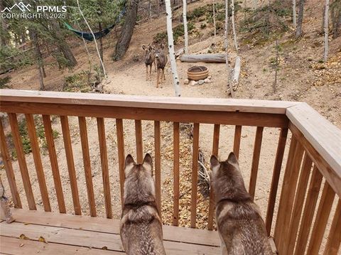 Tiny photo for 509 Wakanda Trail, Woodland Park, CO 80863 (MLS # 2558083)