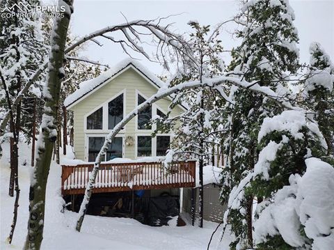 Tiny photo for 509 Wakanda Trail, Woodland Park, CO 80863 (MLS # 2558083)