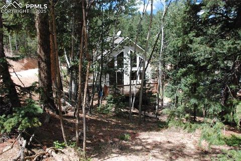 Tiny photo for 509 Wakanda Trail, Woodland Park, CO 80863 (MLS # 2558083)