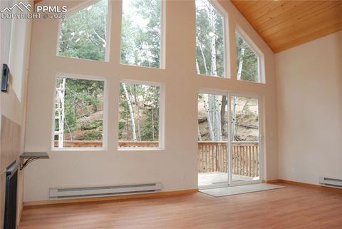 Tiny photo for 509 Wakanda Trail, Woodland Park, CO 80863 (MLS # 2558083)
