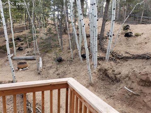 Tiny photo for 509 Wakanda Trail, Woodland Park, CO 80863 (MLS # 2558083)