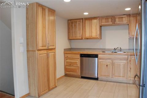 Tiny photo for 509 Wakanda Trail, Woodland Park, CO 80863 (MLS # 2558083)