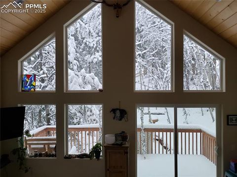 Tiny photo for 509 Wakanda Trail, Woodland Park, CO 80863 (MLS # 2558083)