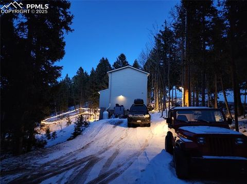 Tiny photo for 509 Wakanda Trail, Woodland Park, CO 80863 (MLS # 2558083)