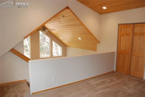 Tiny photo for 509 Wakanda Trail, Woodland Park, CO 80863 (MLS # 2558083)