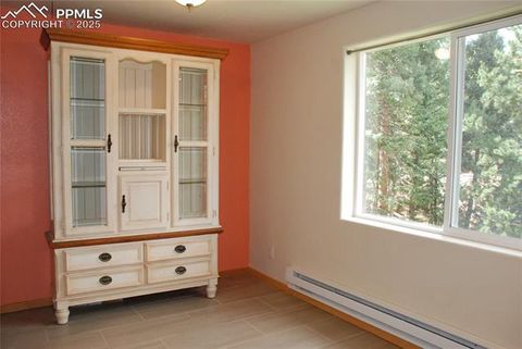 Tiny photo for 509 Wakanda Trail, Woodland Park, CO 80863 (MLS # 2558083)