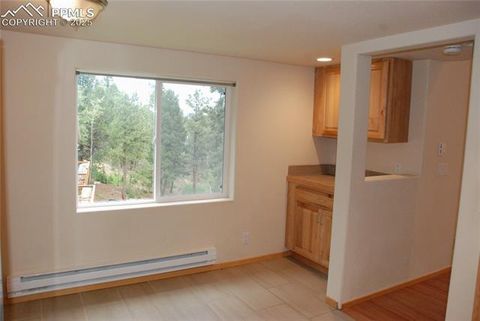Tiny photo for 509 Wakanda Trail, Woodland Park, CO 80863 (MLS # 2558083)