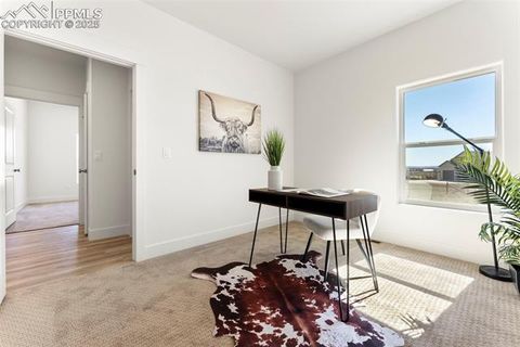 Tiny photo for 47 Top Rail Trail, Penrose, CO 81240 (MLS # 9341561)
