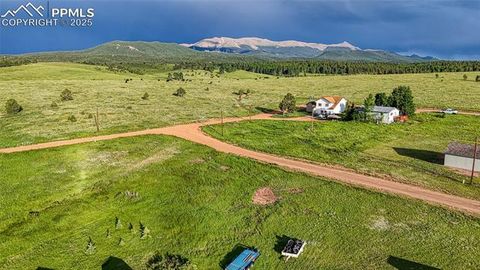 Photo of 112 Will Scarlet Drive, Divide, CO 80814 (MLS # 3824426)