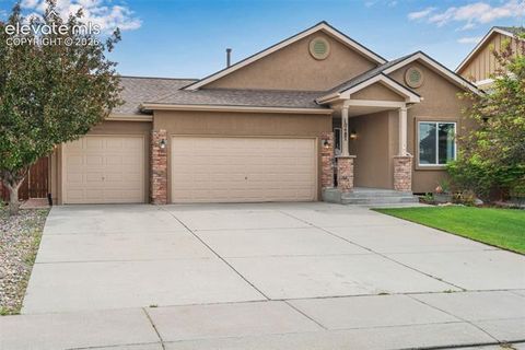 Photo of 10487 Mount Evans Drive, Peyton, CO 80831 (MLS # 7863109)