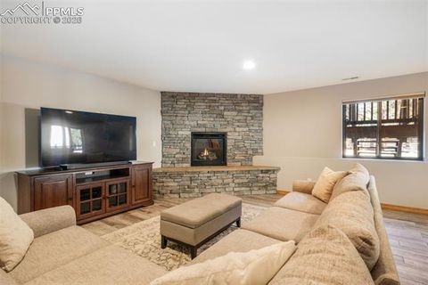 Tiny photo for 1116 Ptarmigan Drive, Woodland Park, CO 80863 (MLS # 8343244)