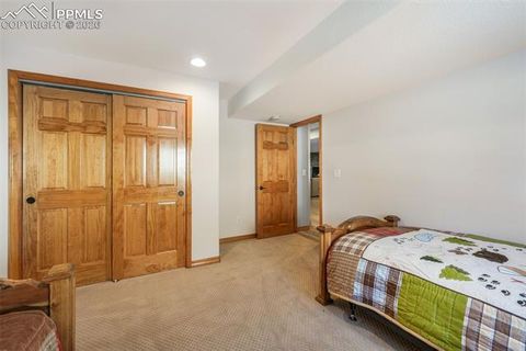 Tiny photo for 1116 Ptarmigan Drive, Woodland Park, CO 80863 (MLS # 8343244)