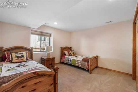 Tiny photo for 1116 Ptarmigan Drive, Woodland Park, CO 80863 (MLS # 8343244)